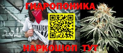 герыч Можга